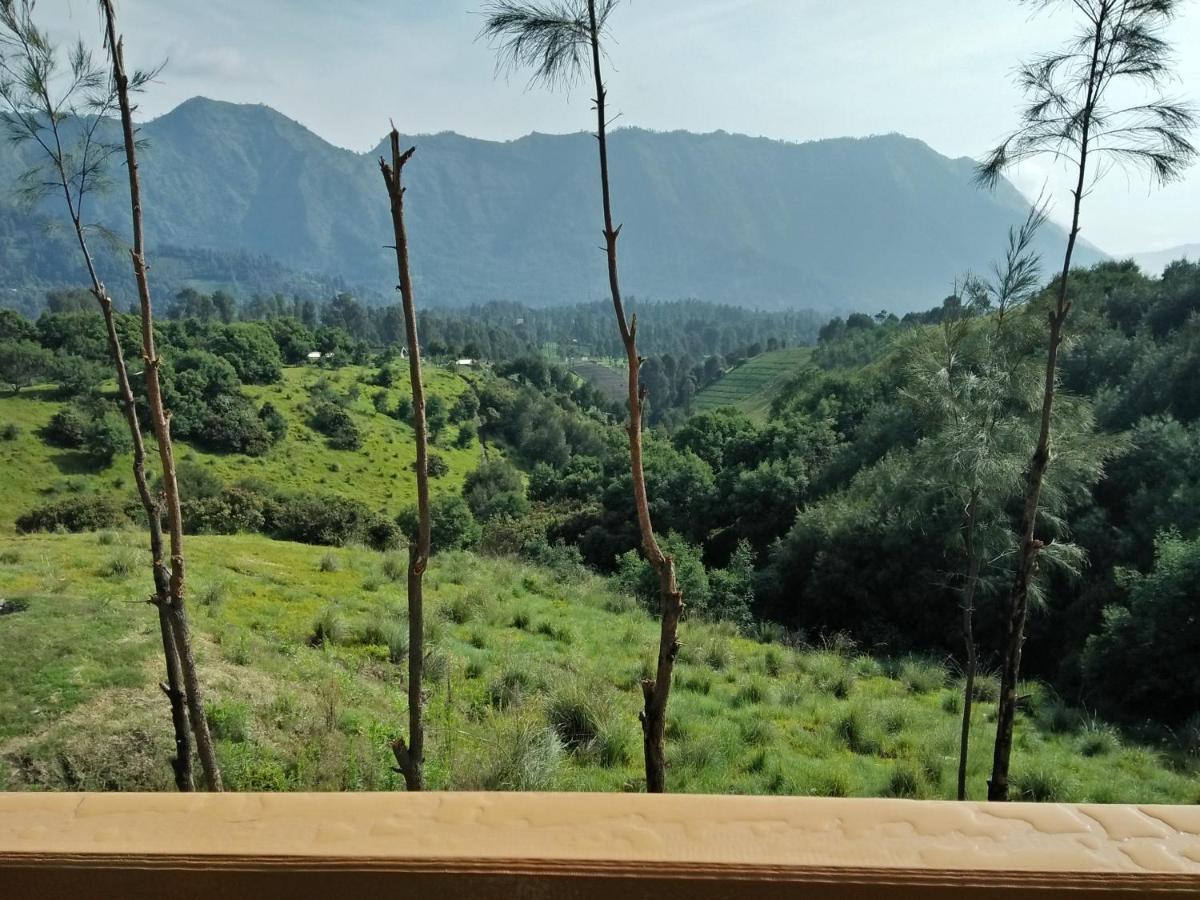 Lava View Lodge Bromo Exterior foto